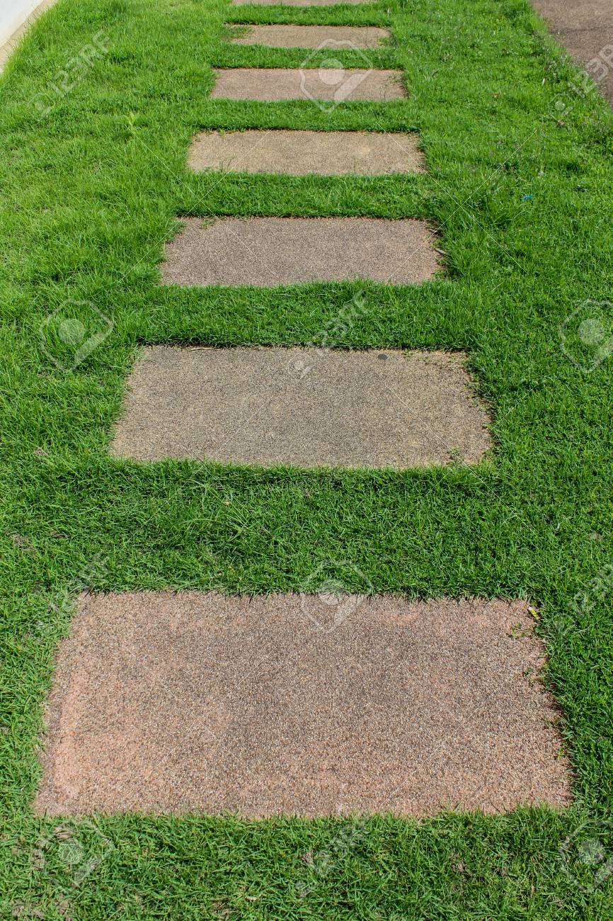 Pared De Hierba Verde Estilo De Diseno De Paisaje De Pasarela De