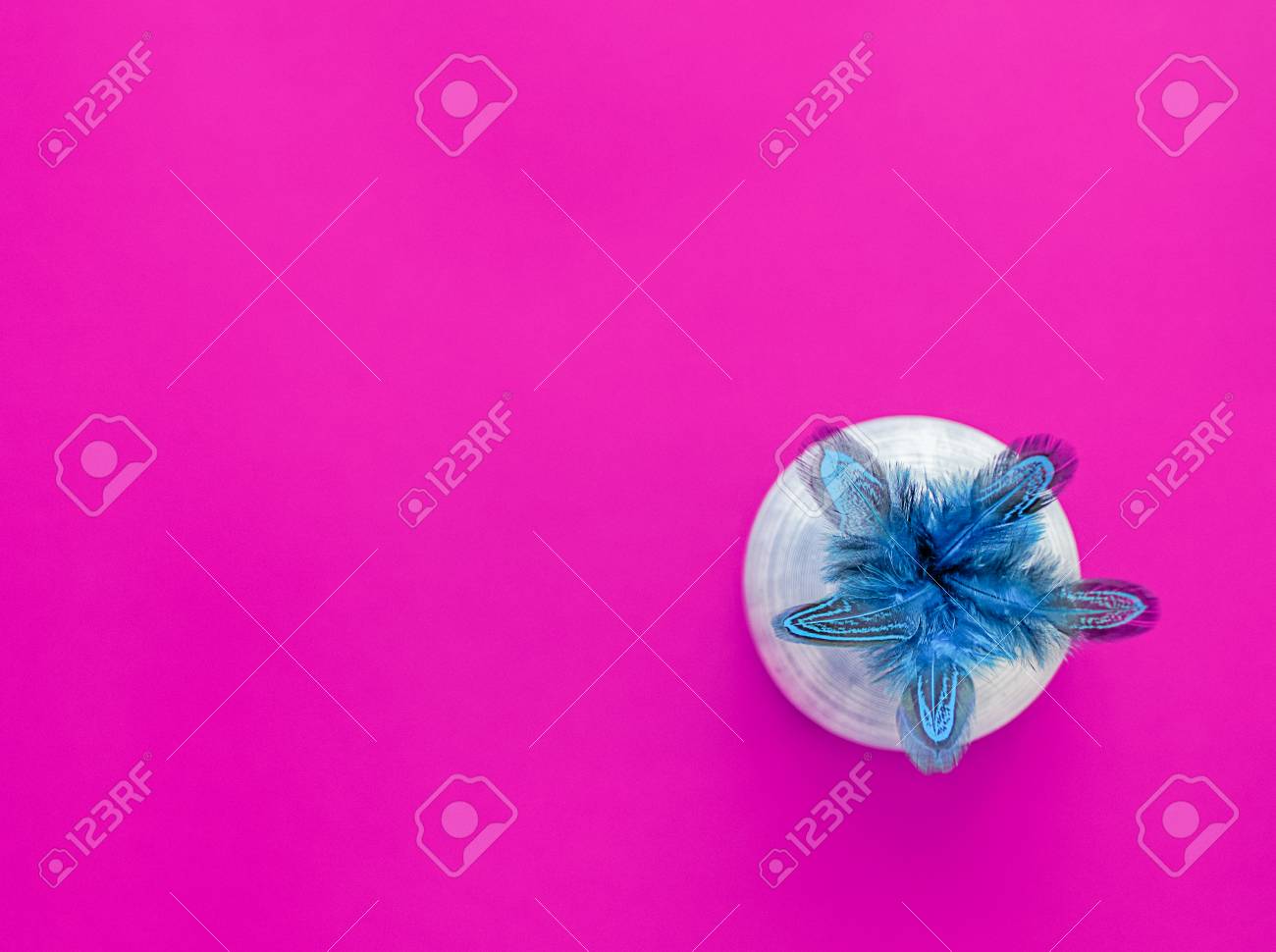 A Bouquet Of Blue Colored Pheasant Feathers Is In A Ceramic Vase