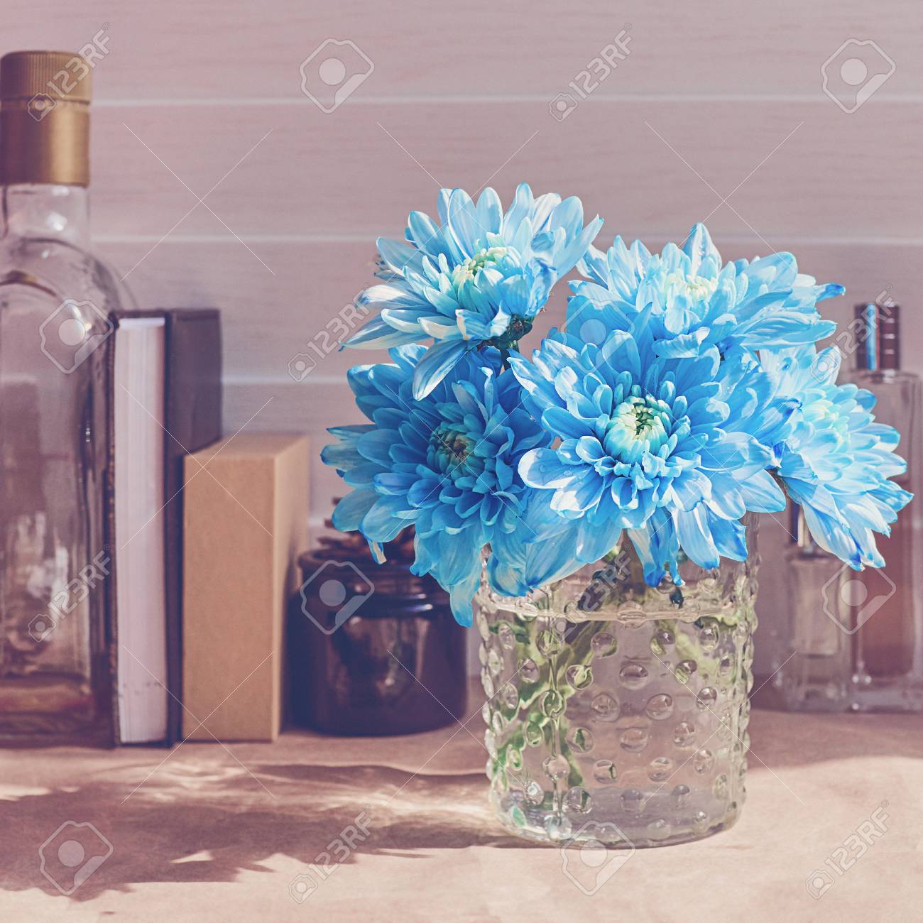 Blue Chrysanthemums Are In A Glass Jar. There Is A Cardboard Closed Blau | Trendweiser
