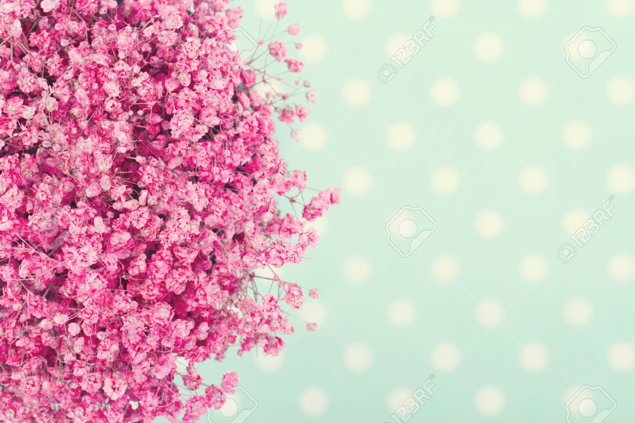 Bouquet De Fleurs De Rose Bebe Sur Fond Pointille Bleu Turquoise Avec L Edition Millesime Banque D Images Et Photos Libres De Droits Image
