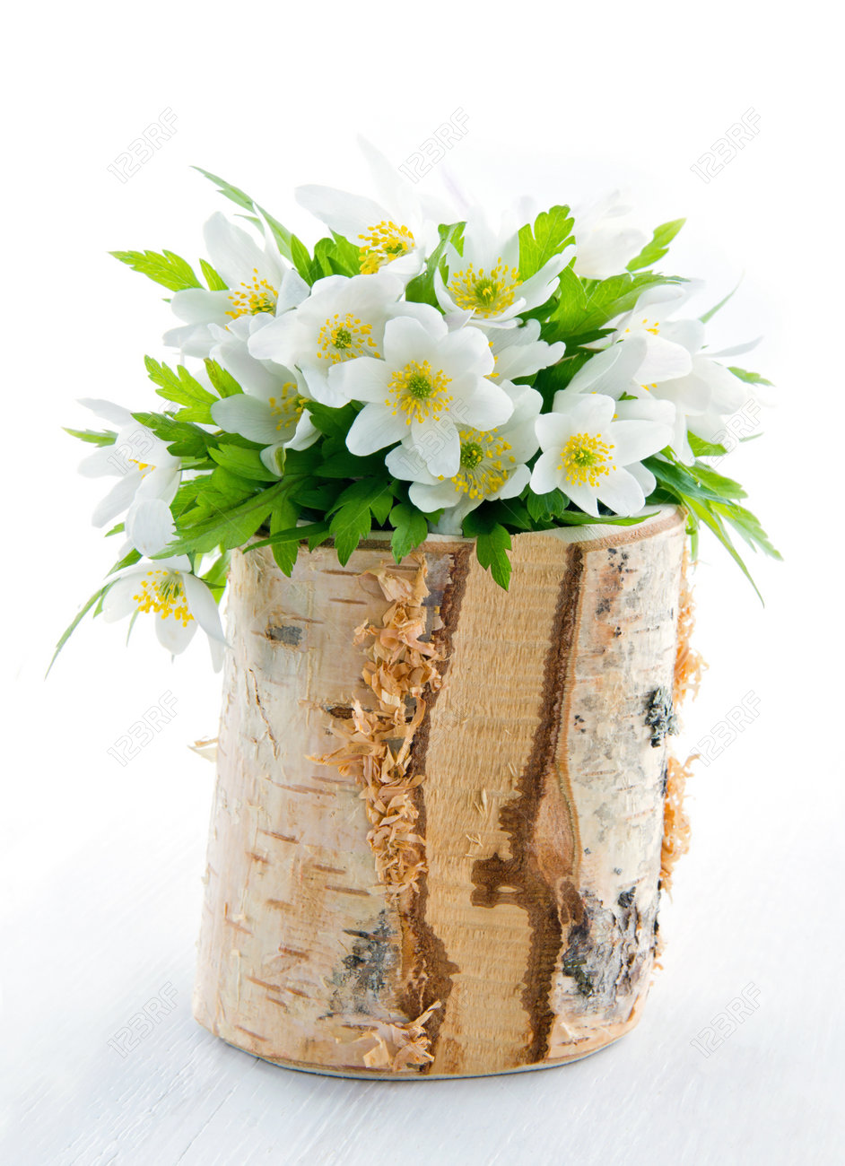Bouquet Of White Spring Flowers Wood Anemones In A Rustic Wooden Birch Tree Vase Bouquet Of White Spring Flowers Wood Anemones In A Rustic Wooden Birch Tree Vase
