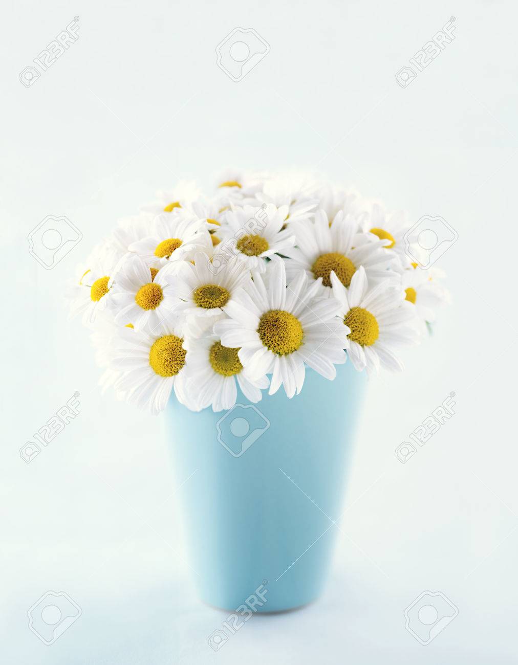 デイジーの花の漠然としたヴィンテージ編集と水色のパステル背景に青い花瓶の花束 の写真素材 画像素材 Image デイジーの花の漠然としたヴィンテージ編集と水色のパステル背景に青い花瓶の花束 の写真素材 画像素材 Image