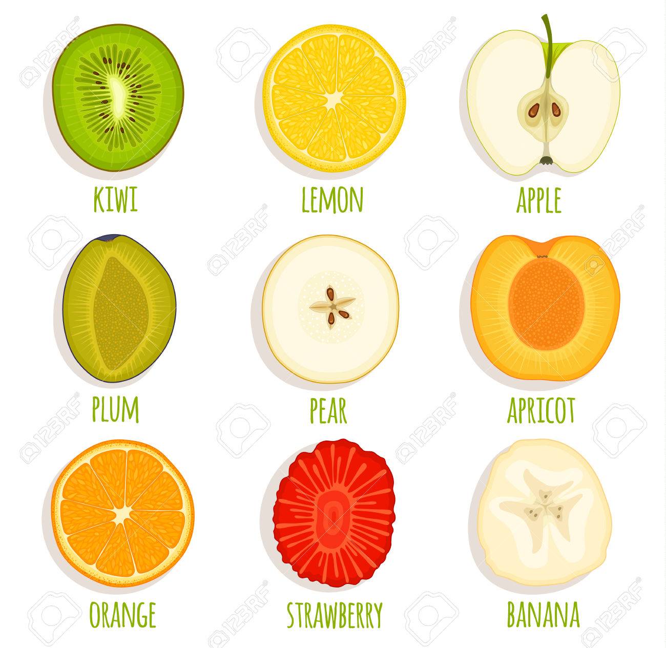 set of sliced fruit vector icon collection of fruit cut in half