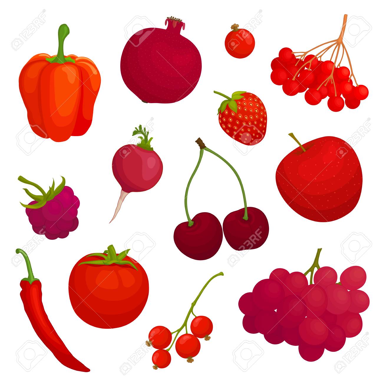 Color. Vector Illustration Royalty 