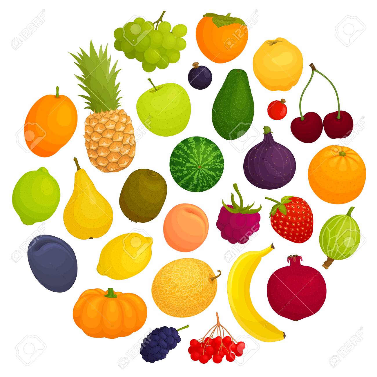 白い背景に異なる果物やベリーのセット ベクトルイラスト 習慣的でエキゾチックな果物 のイラスト素材 ベクタ Image