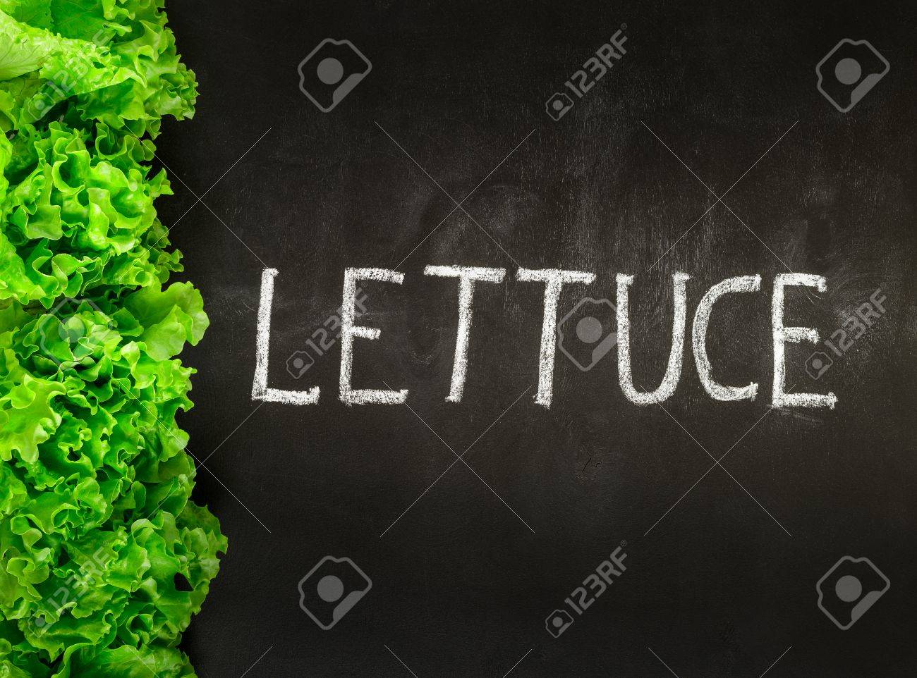 新鮮なレタスはレタスがチョーク ブラック ボードに書いて国境や言葉を残します 有機野菜食品 ダイエットのコンセプトです コピー スペースはたっぷり の写真素材 画像素材 Image
