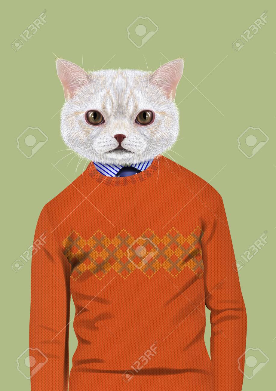 orange cat sweater