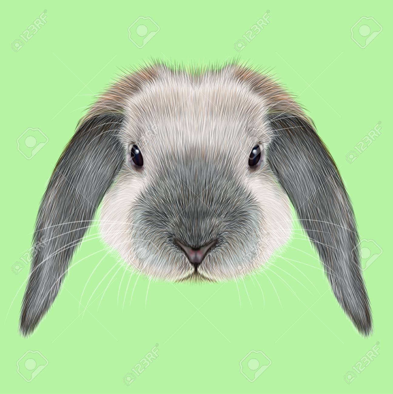 緑の背景にブルー ポイントのウサギのイラスト肖像画 の写真素材 画像素材 Image