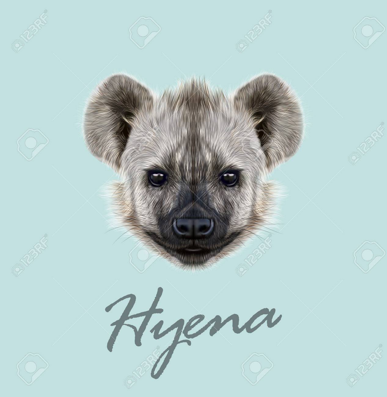 青の背景にアフリカのハイエナのかわいい顔 のイラスト素材 ベクタ Image 青の背景にアフリカのハイエナのかわいい顔 のイラスト素材 ベクタ Image