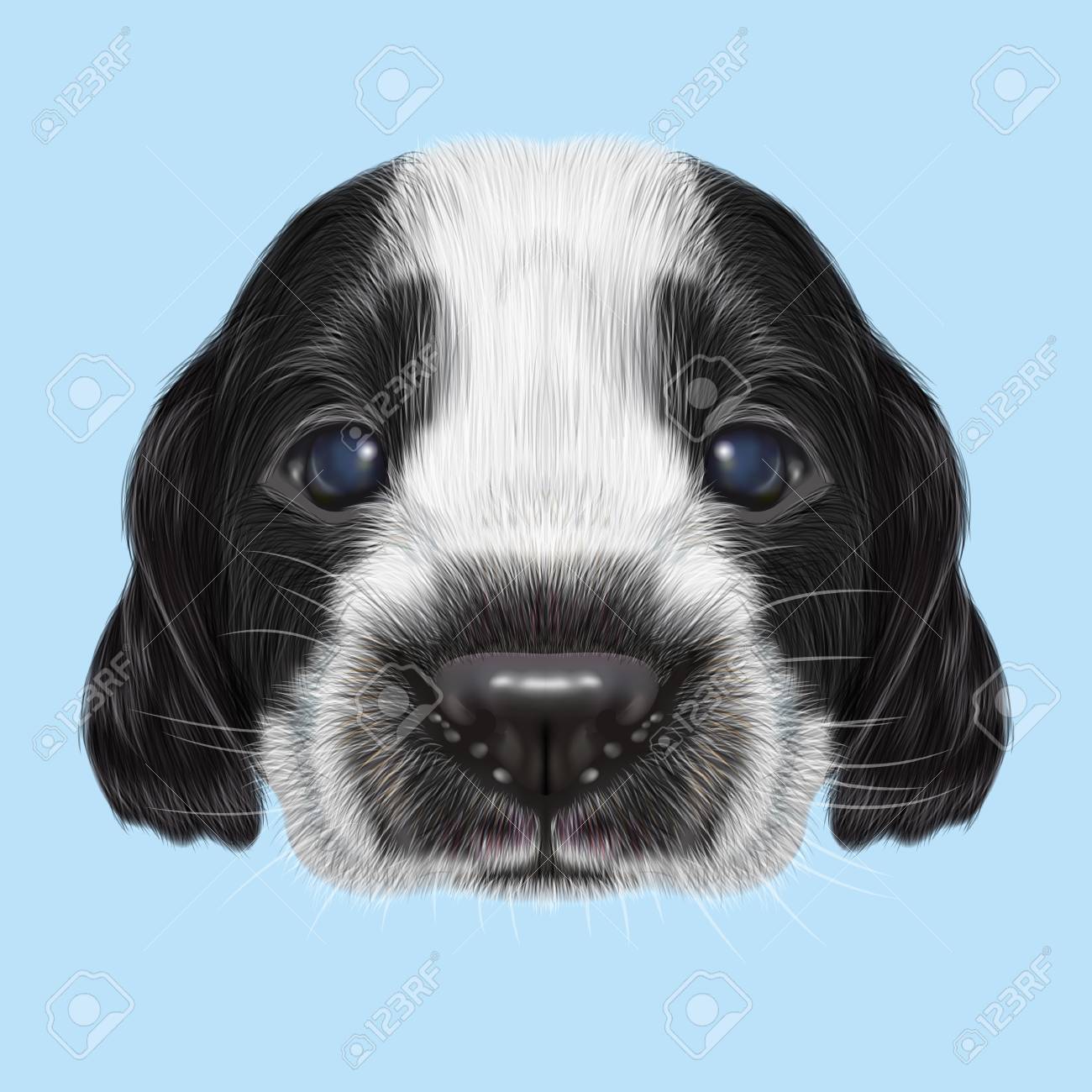 ロシア スパニエル子犬のイラスト肖像画 青の背景に国内の子犬のかわいいバイカラー顔 の写真素材 画像素材 Image