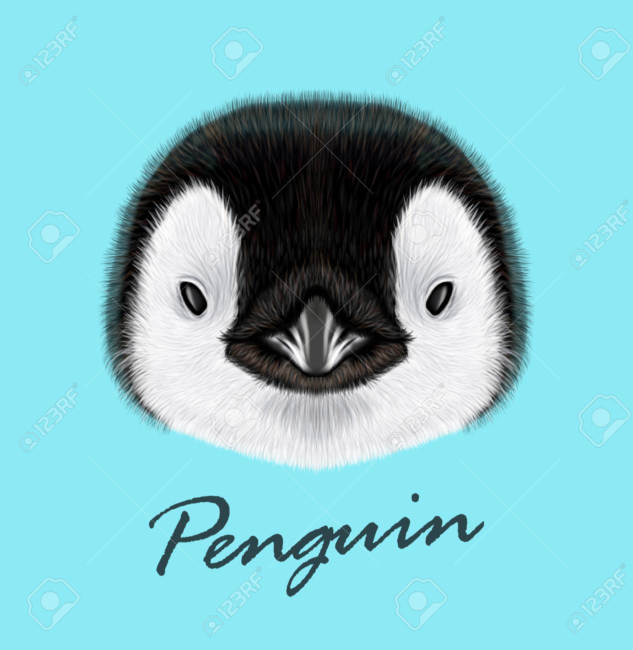 Vector Illustrated Portrait De Poussin De Manchot Empereur Visage Moelleux Mignon De Bebe Oiseau Sur Fond Bleu Clip Art Libres De Droits Vecteurs Et Illustration Image