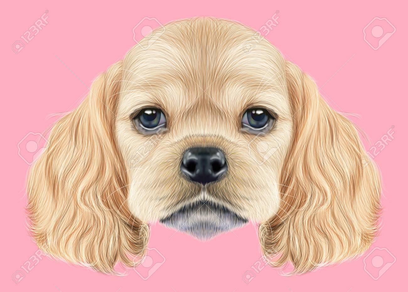アメリカン コッカー スパニエル子犬のイラスト肖像画 ピンクの背景に国内犬のかわいいふわふわの金色の顔 の写真素材 画像素材 Image 7571 アメリカン コッカー スパニエル子犬のイラスト肖像画 ピンクの背景に国内犬のかわいいふわふわの金色の顔 の写真素材 画像素材 Image 7571