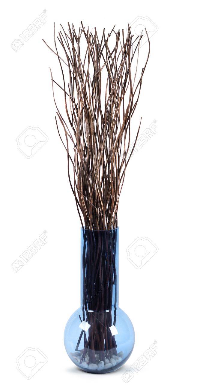 Decorative Twigs In Modern Glass Vase Isolated On White Stock