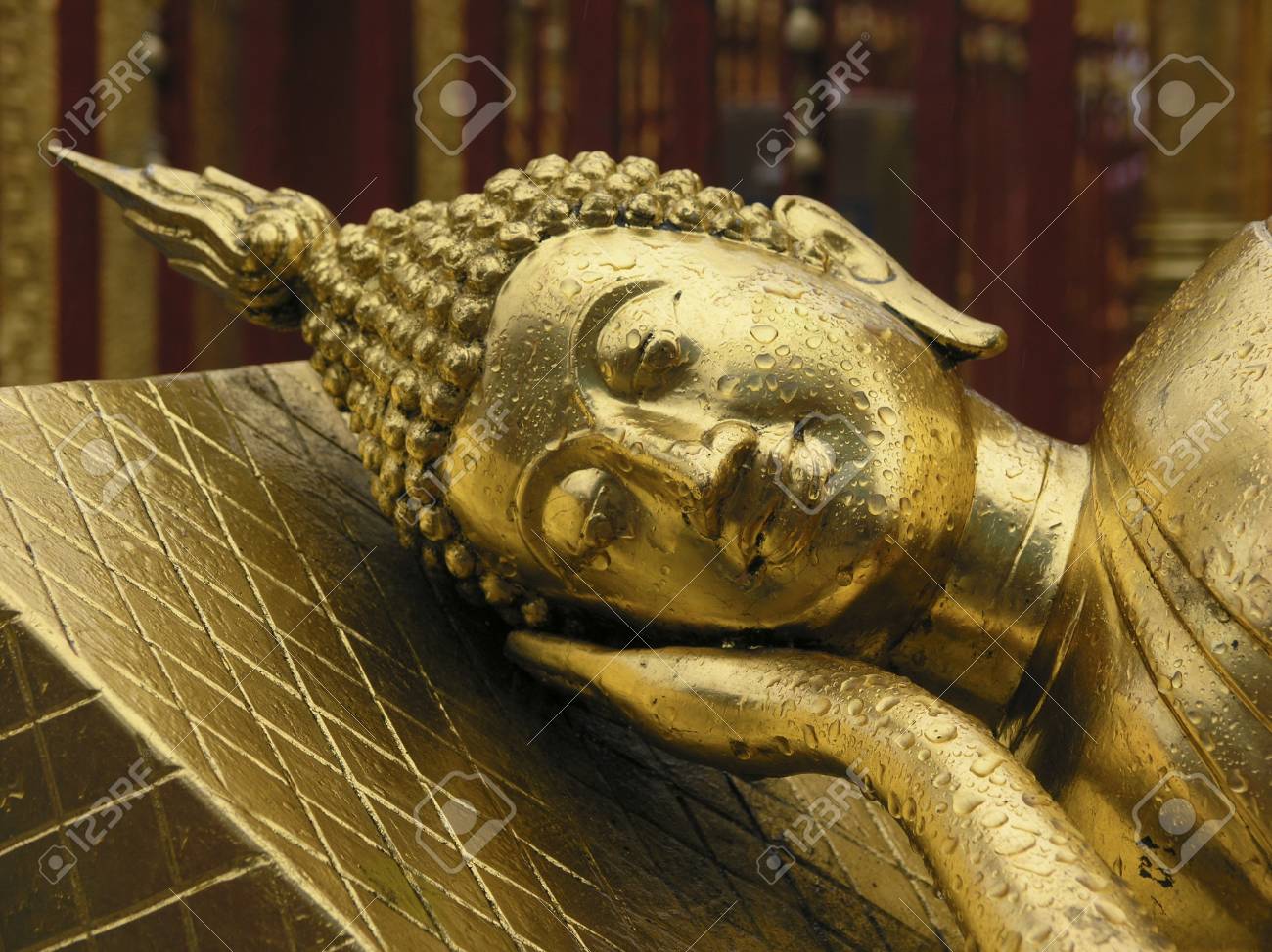 etiam-dictum-ipsum-a-felis