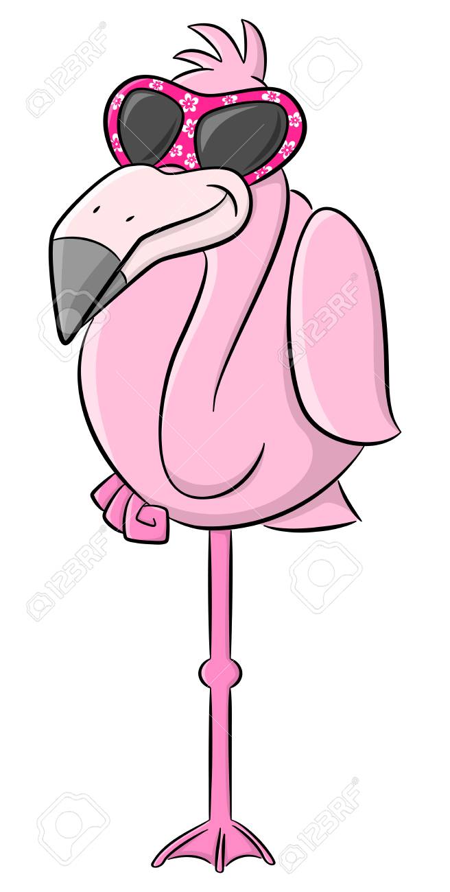 Pink Flamingo Vector Illustration. Wading Bird Stock Vector by ©robuart  141623950, image size:656x1300