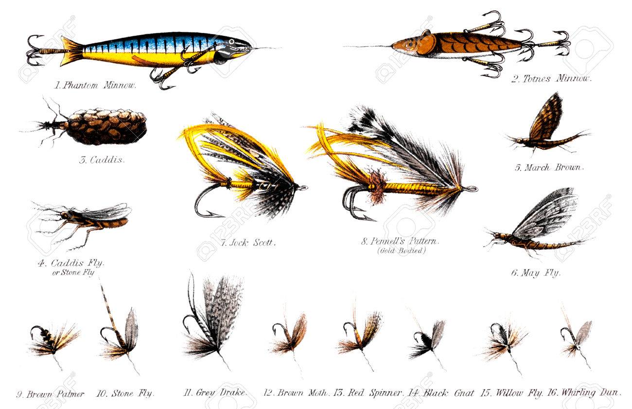 trout flies