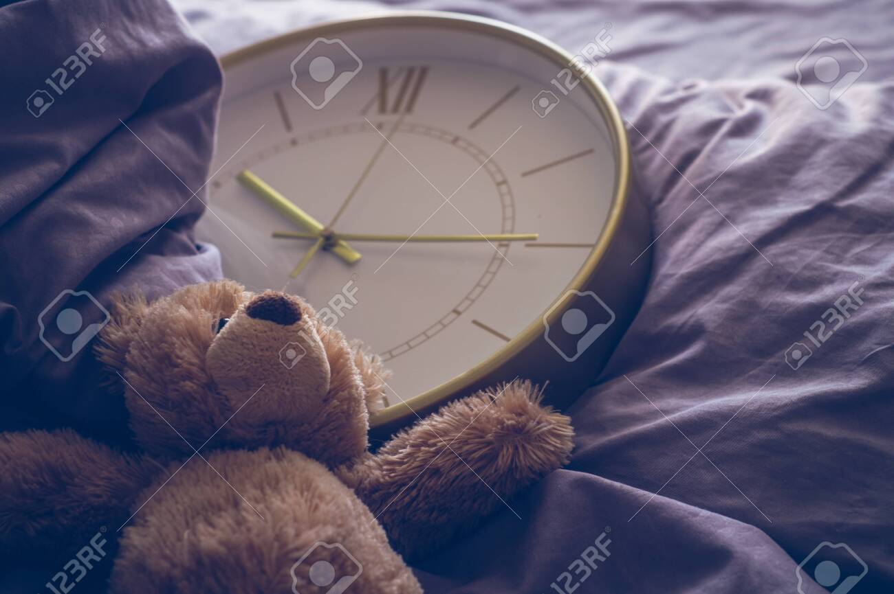 next teddy bear
