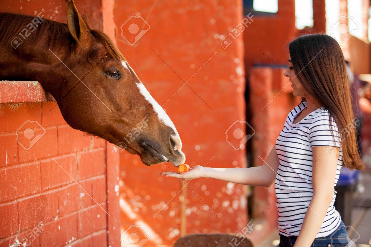 Pretty Hispanic girl feeding her horse carrots in a stable Pretty Hispanic girl feeding her horse carrots in a stable