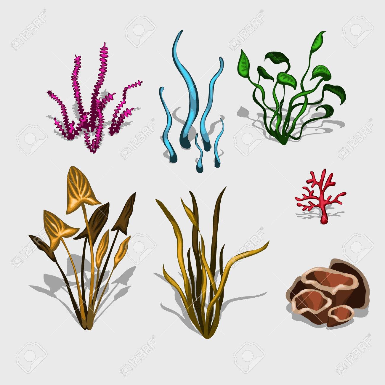 空想の植物やサンゴ 大きなセット分離アイコン のイラスト素材 ベクタ Image