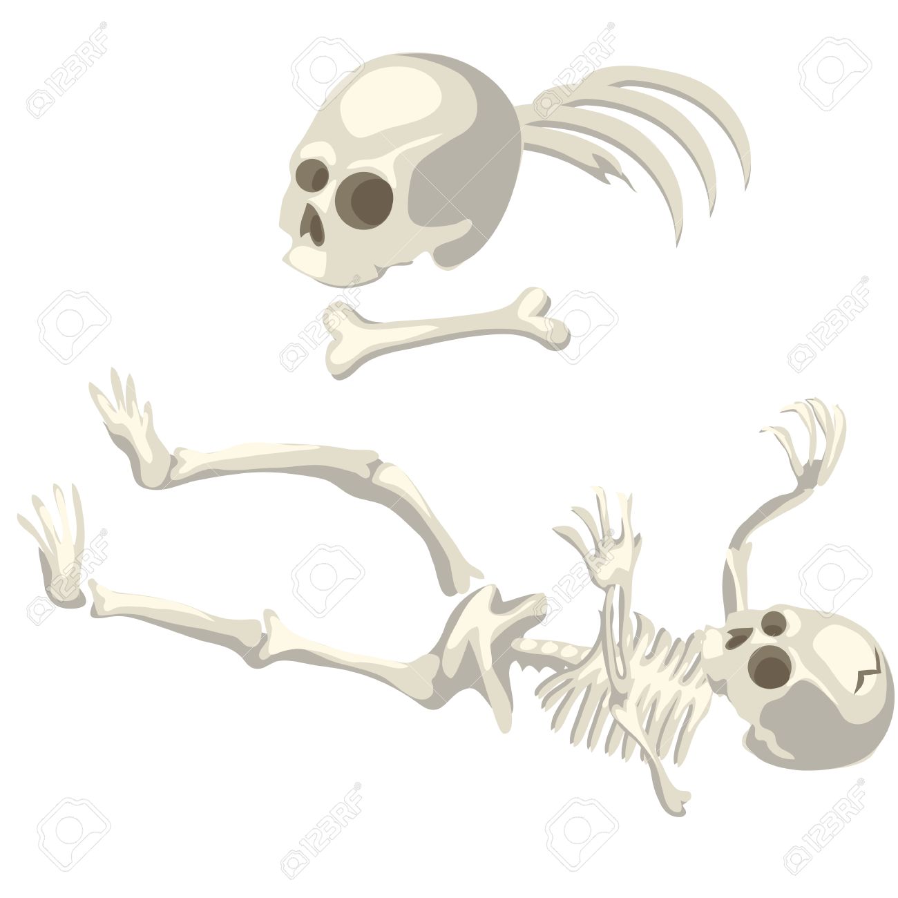 Human Skeleton And Bones Different Parts Of Body, Cartoon Style Royalty  Free SVG, Cliparts, Vectors, and Stock Illustration. Image 55309979.