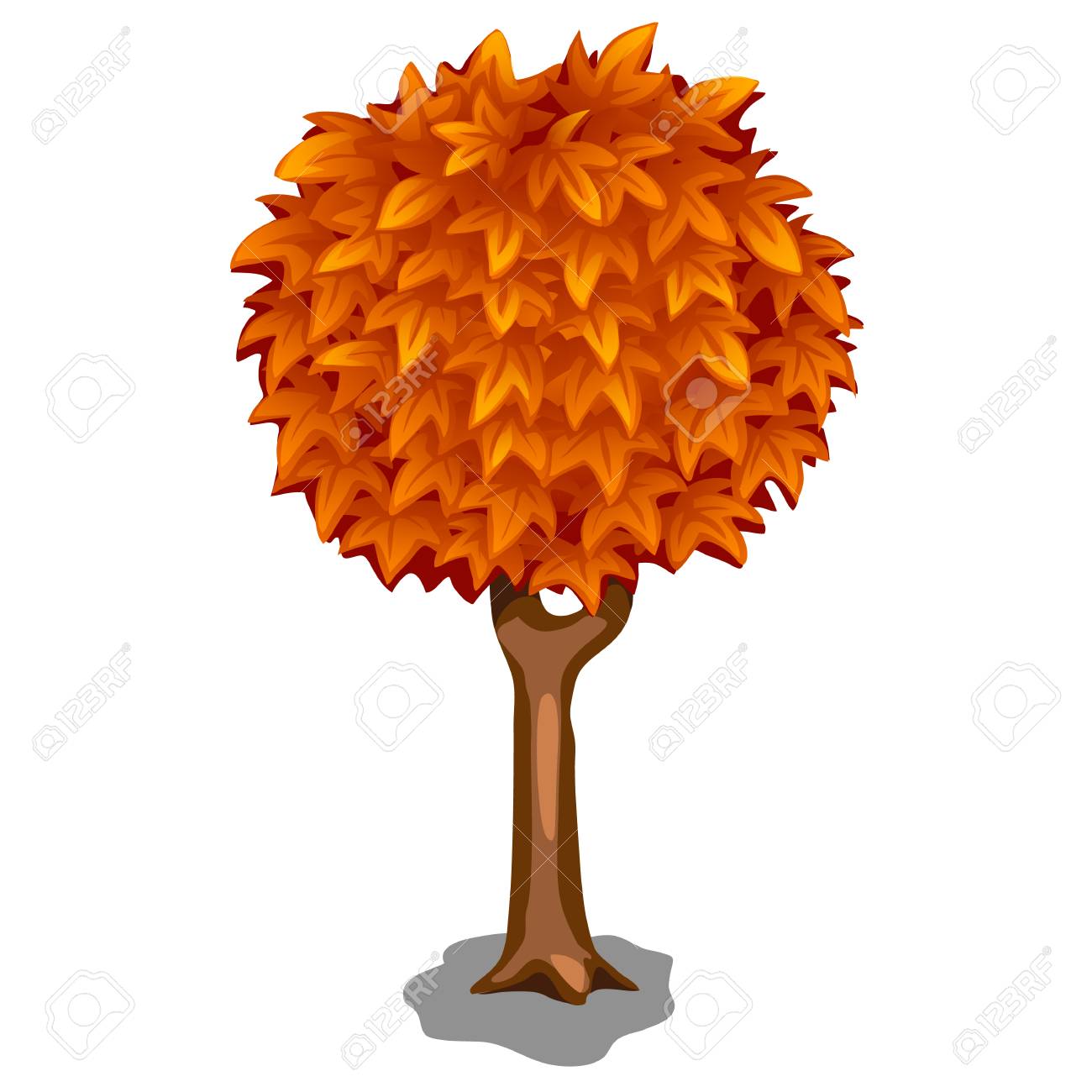 Beautiful Autumn Tree On A White Background Royalty Free