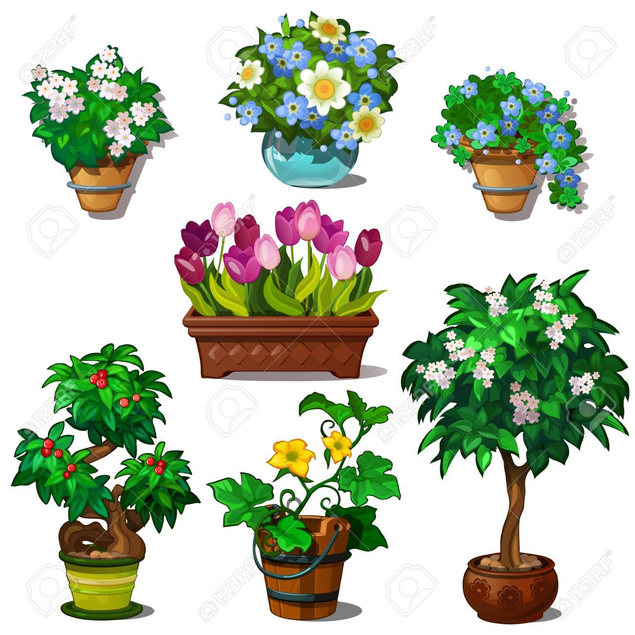 Siete Imágenes De Plantas Domésticas Y De Jardín En Jarrón Y Macetas. Botánico Conjunto De Flores Y árboles Bonsai. Ilustración Del Vector En Estilo De Dibujos Animados Aislado Sobre Fondo Blanco Ilustraciones Siete Imágenes De Plantas Domésticas Y De Jardín En Jarrón Y Macetas. Botánico Conjunto De Flores Y árboles Bonsai. Ilustración Del Vector En Estilo De Dibujos Animados Aislado Sobre Fondo Blanco Ilustraciones