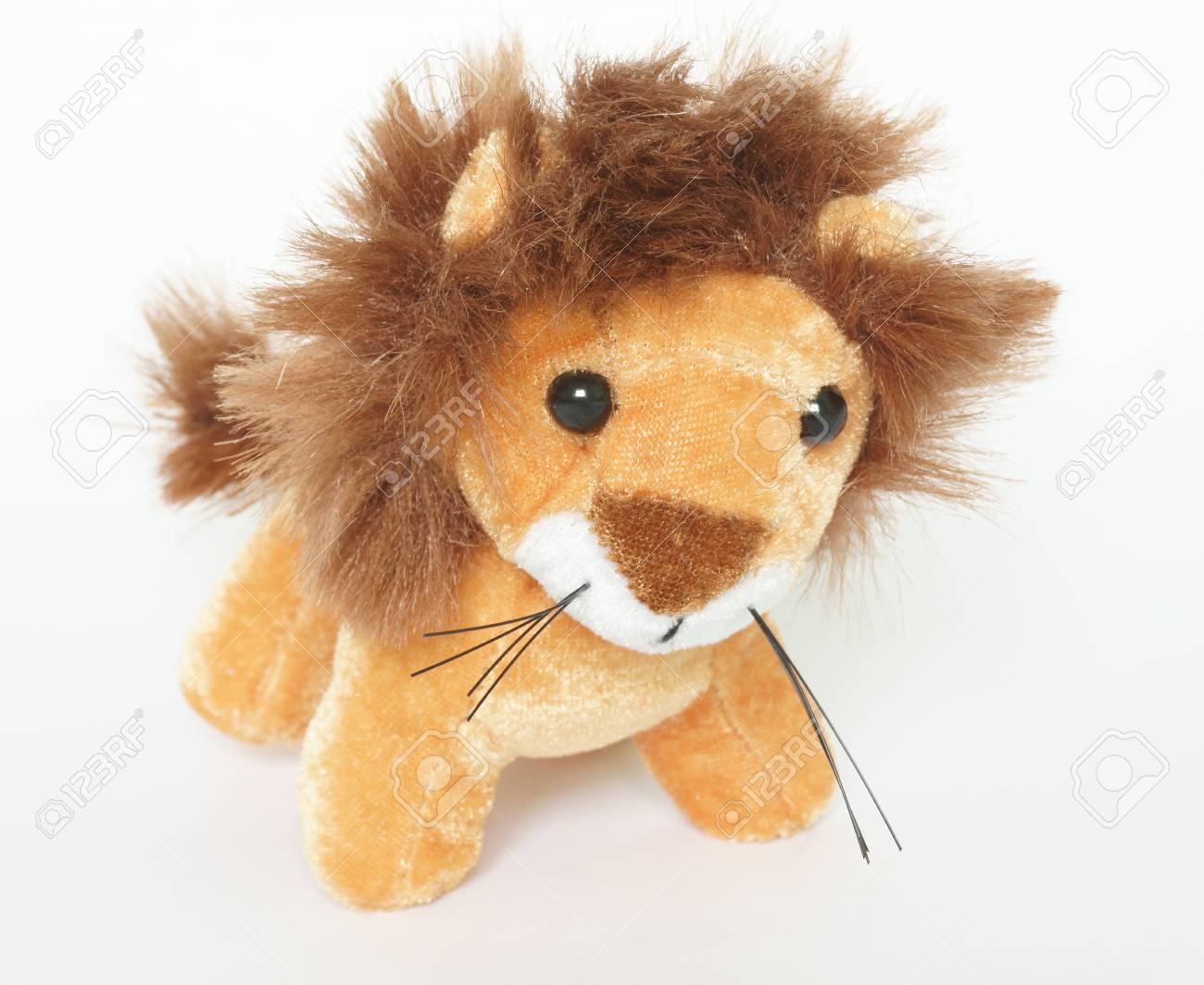 etiam-dictum-ipsum-a-felis