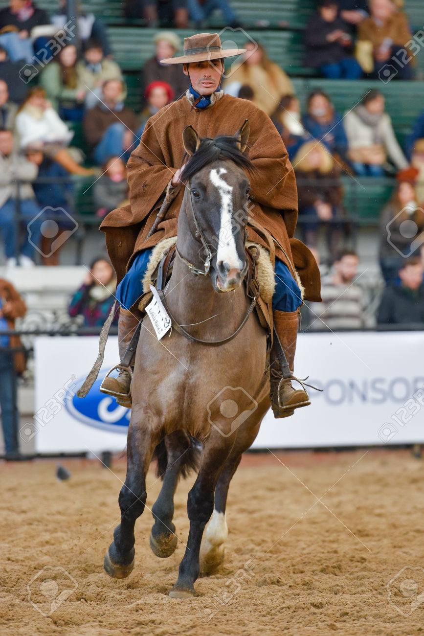 Buenos Aires, Argentina - 16 Jul 2016: Un Vaquero Gaucho En Durante Una En La Exposición Rural. Fotos, Retratos, Imágenes Y Fotografía De Archivo Libres De Derecho. Image 71117821.