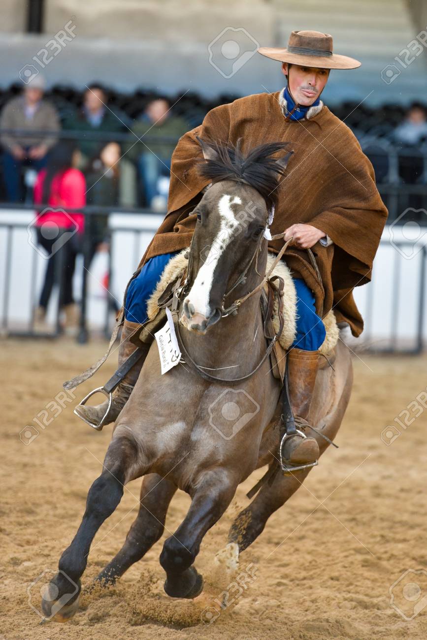 Buenos Argentina - 16 Jul 2016: Un Vaquero Gaucho Montado En Un Caballo Durante Una Presentación En Exposición Rural. Fotos, Retratos, Imágenes Y Fotografía De Archivo Libres De Derecho. Image 71117823.