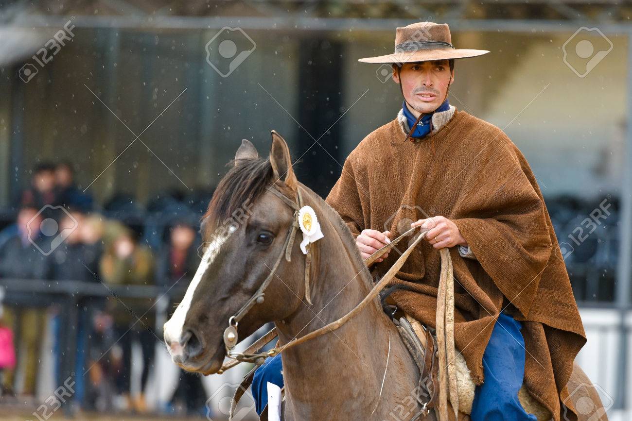 Buenos Aires, Argentina - 16 2016: Un Vaquero Gaucho Montado En Caballo Una Presentación En La Exposición Rural. Retratos, Imágenes Y Fotografía De Archivo Libres De Derecho. Image 71117827.