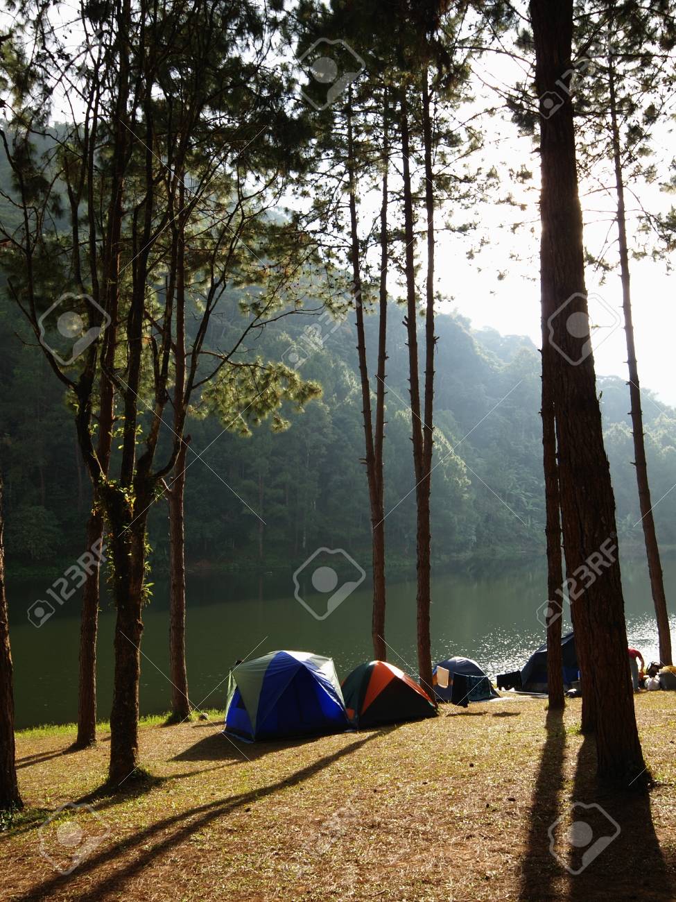 etiam-dictum-ipsum-a-felis