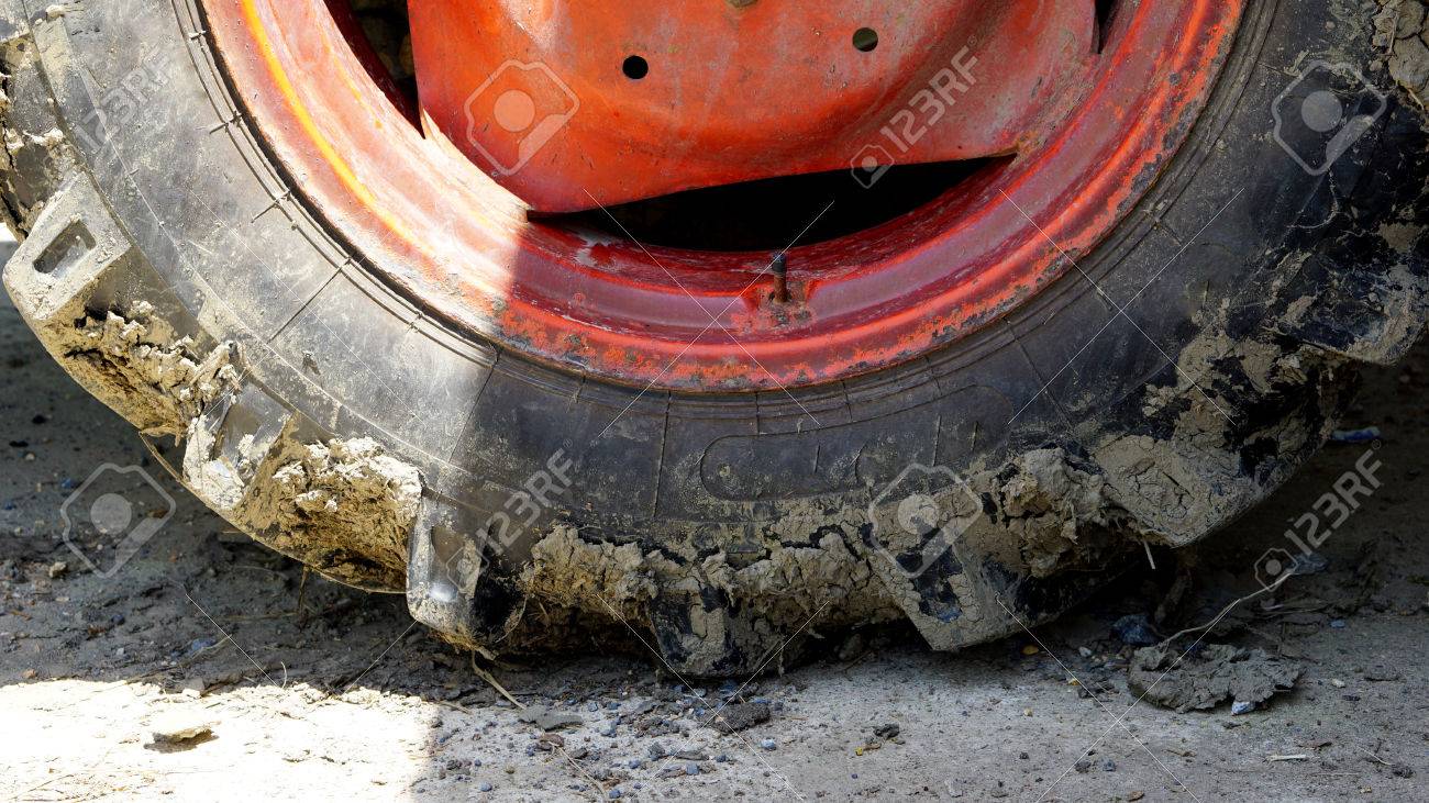 etiam-dictum-ipsum-a-felis