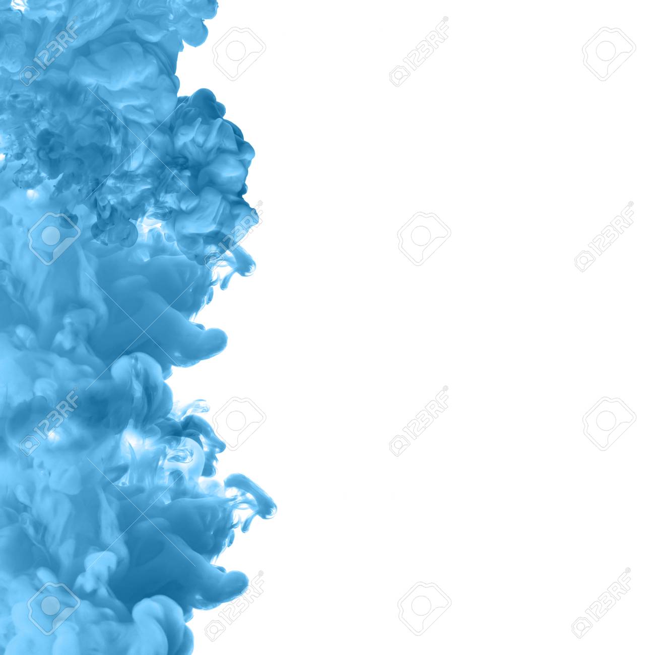 すべての花の画像 新鮮な白 絵の具 壁紙