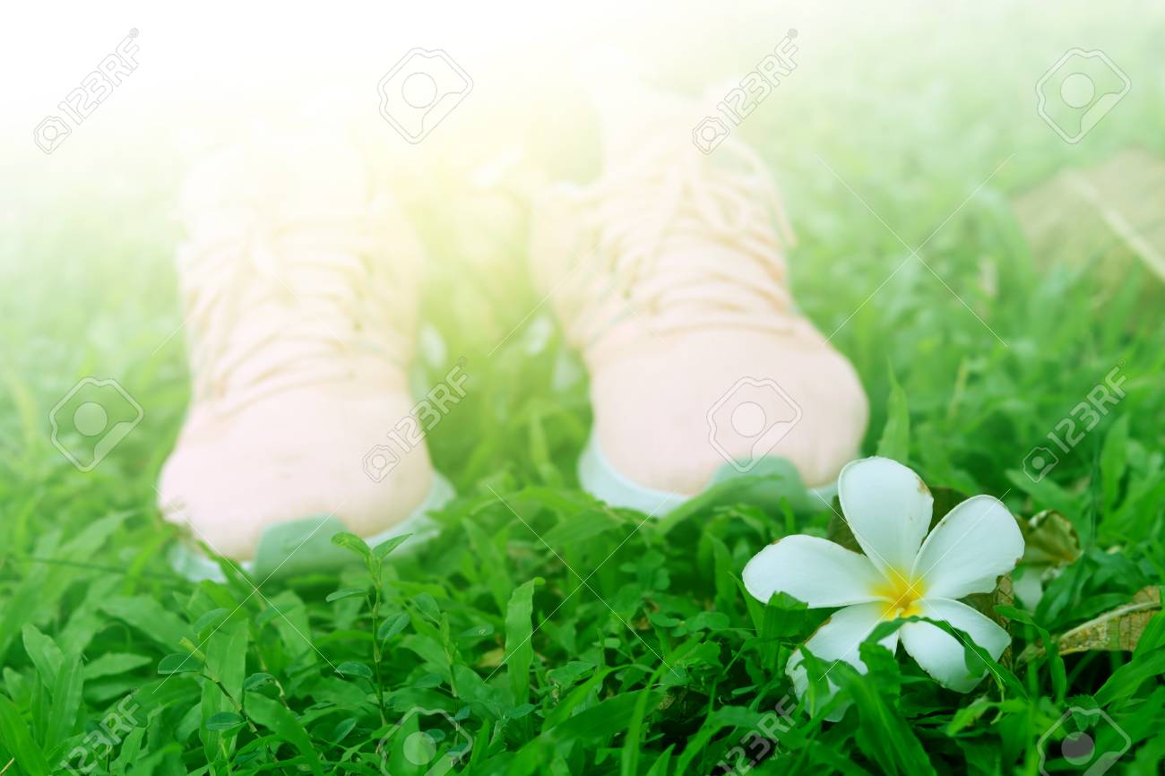 Running Shoes And Plumeria Flowers In The Garden Stock Photo Picture And Royalty Free Image Image