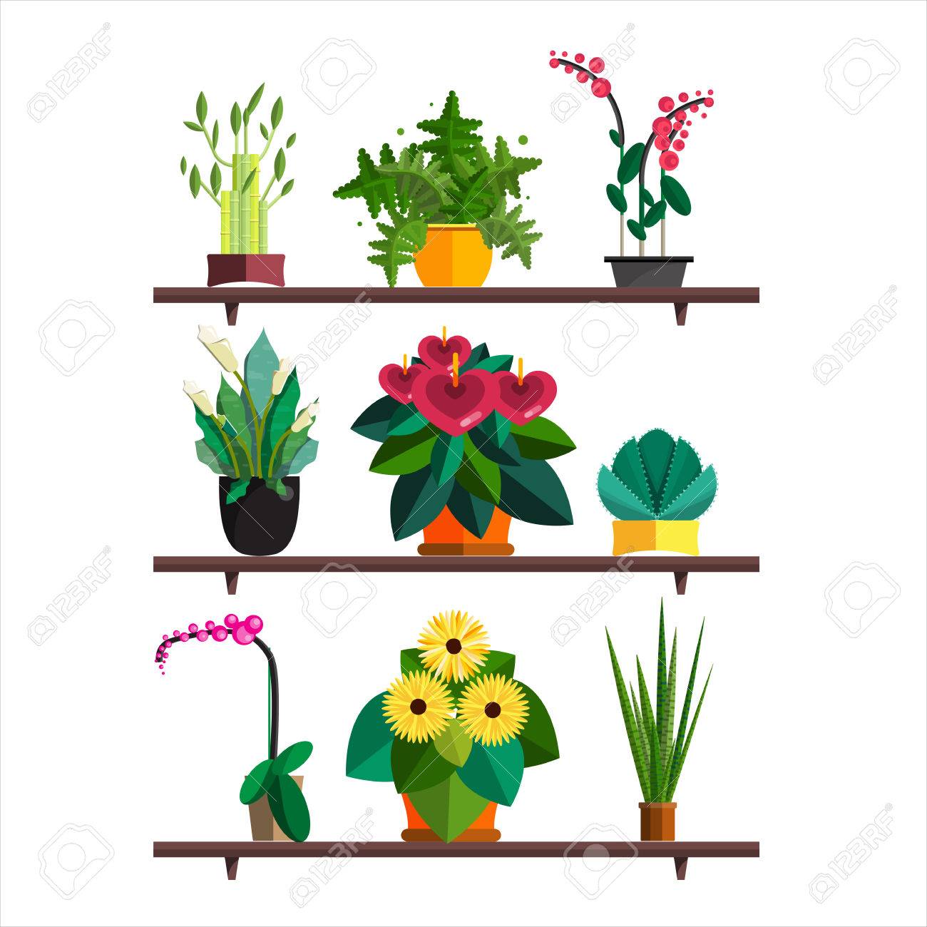 indoor home office plants royalty flowers illustration of houseplants indoor and office plants in pot dracaena fern bamboo of houseplants indoor and office plants in pot indoor home office plants royalty flowers illustration of houseplants indoor and office plants in pot dracaena fern bamboo of houseplants indoor and office plants in pot