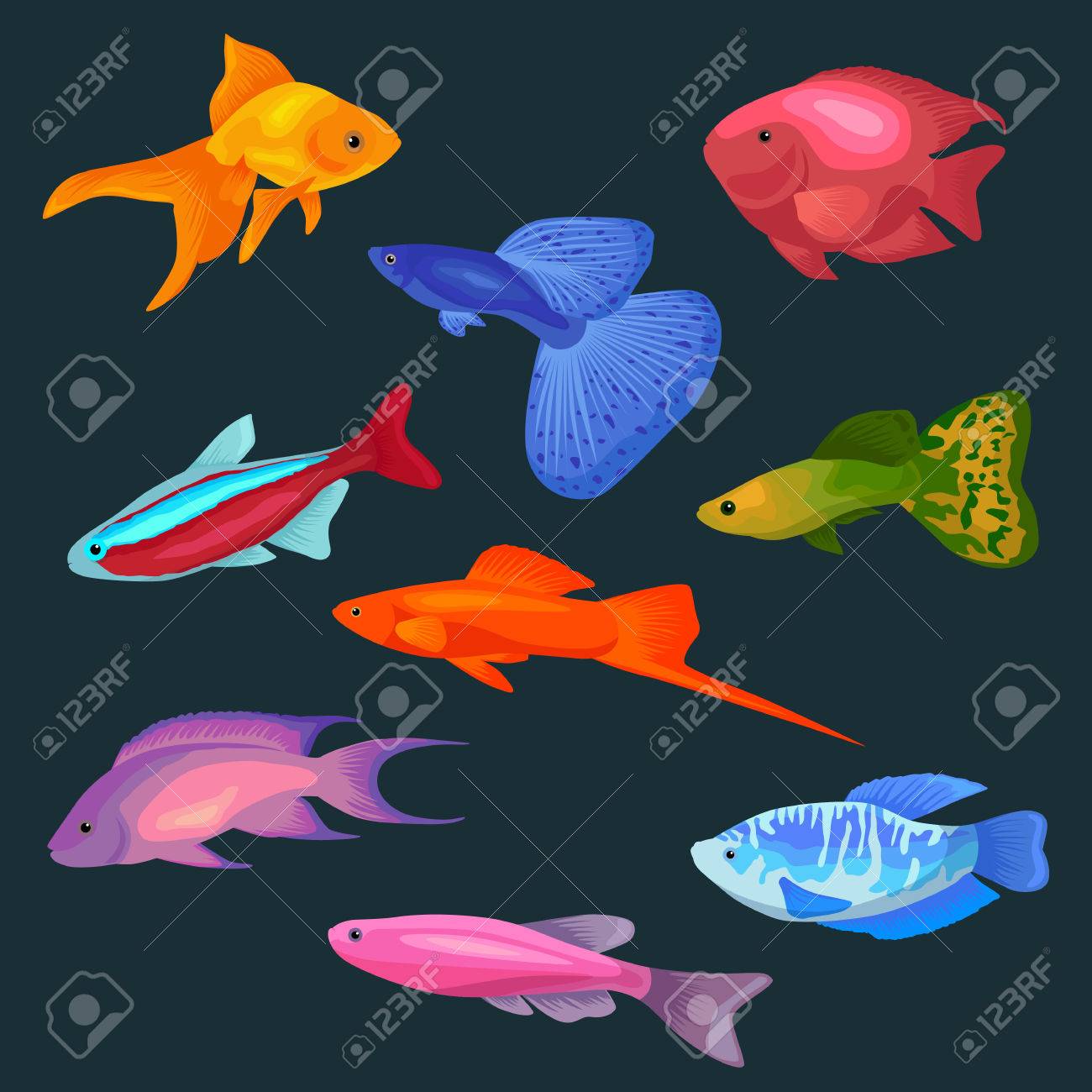 かわいい魚ベクトル イラスト アイコン セット 魚はフラット スタイルのベクトル図です 魚アイコンが分離されました 熱帯魚 海魚 白い背景で隔離水槽魚セット 海色フラット デザイン魚のイラスト素材 ベクタ Image かわいい魚ベクトル イラスト アイコン セット 魚はフラット スタイルのベクトル図です 魚アイコンが分離されました 熱帯魚 海魚 白い背景で隔離水槽魚セット 海色フラット デザイン魚のイラスト素材 ベクタ Image