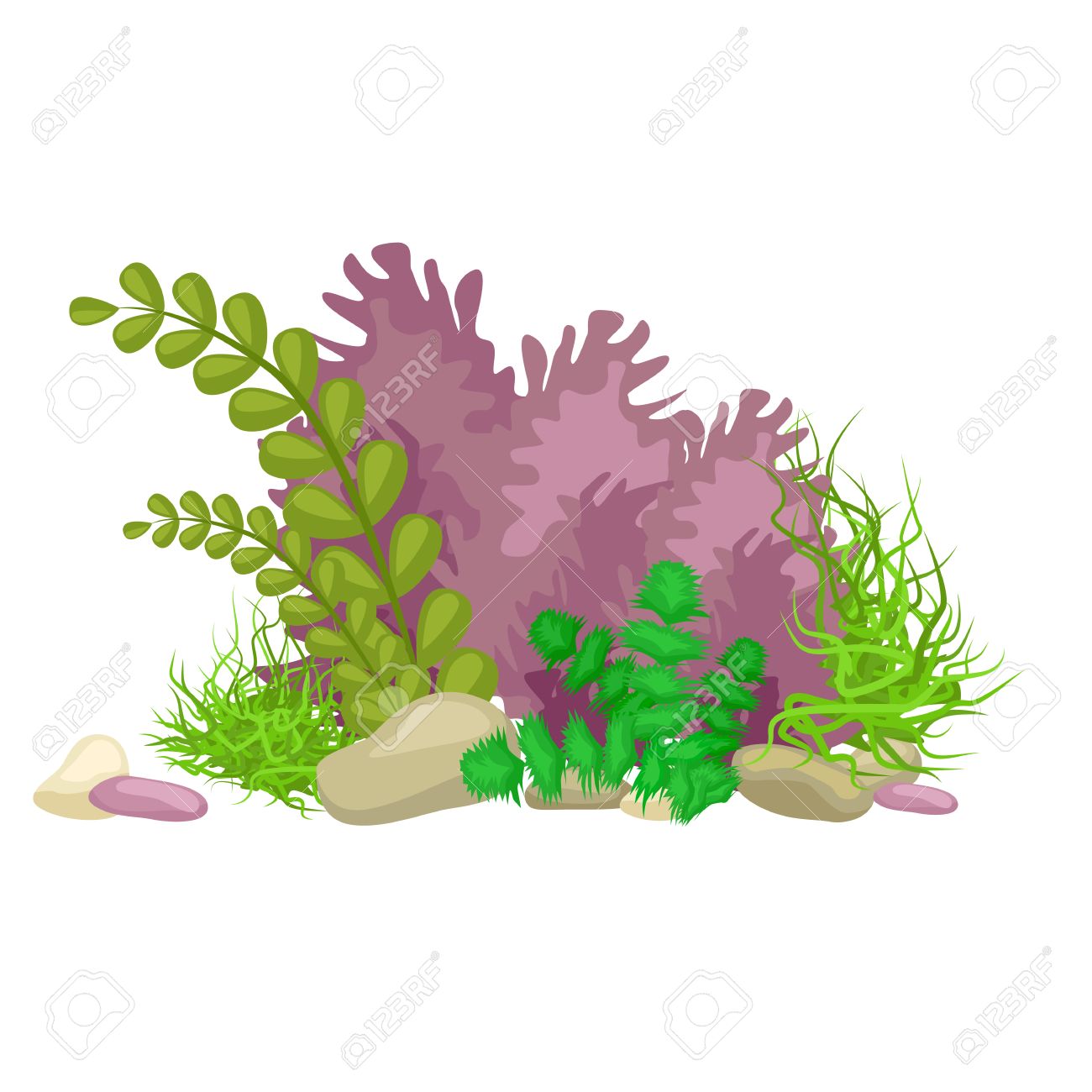 Seaweed, solated colorful corals and algae on a white background. Vector underwater flora and fauna. - 57528627 Seaweed, solated colorful corals and algae on a white background. Vector underwater flora and fauna. - 57528627