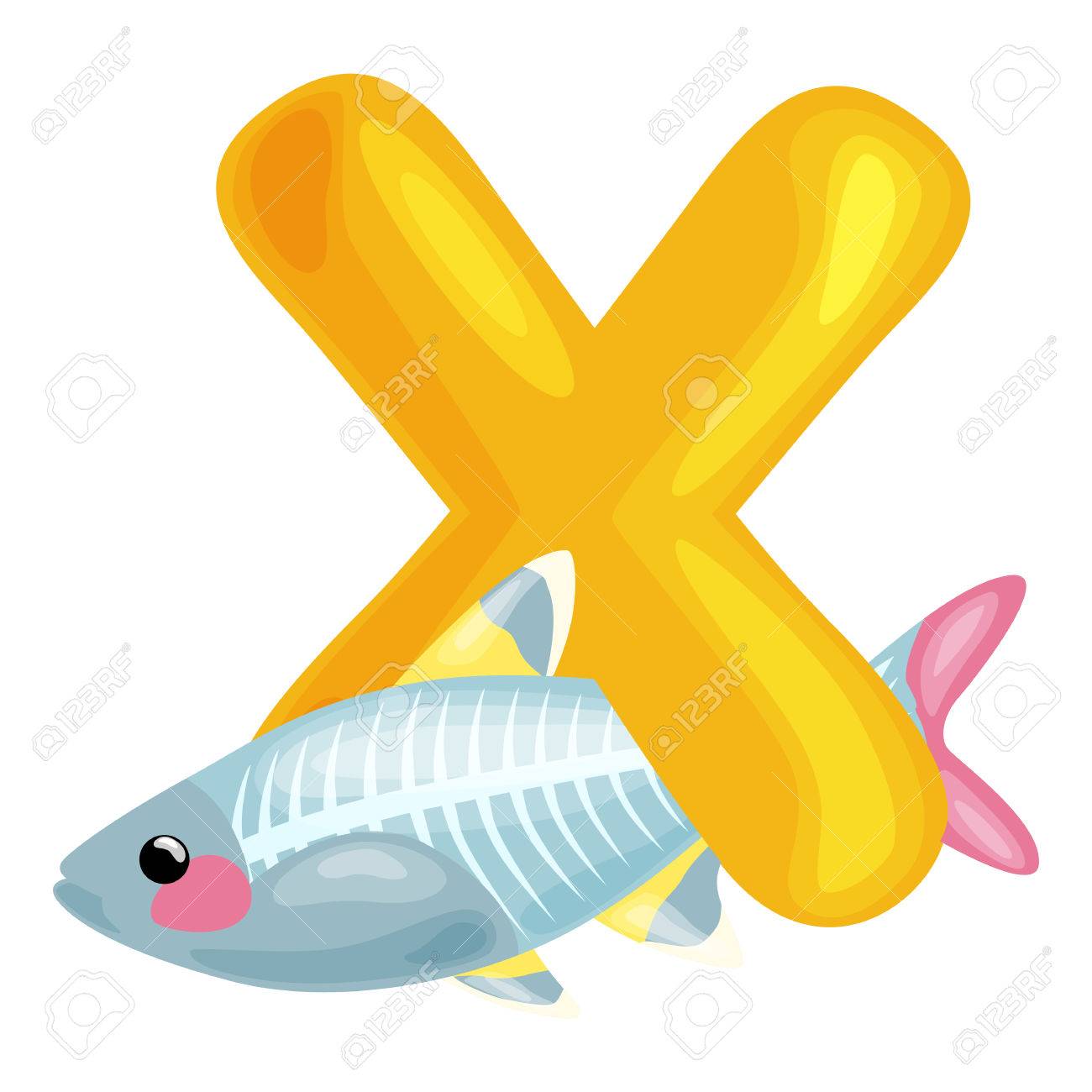 animal x rayfish and letter x for kids abc education in preschool animals with letter x