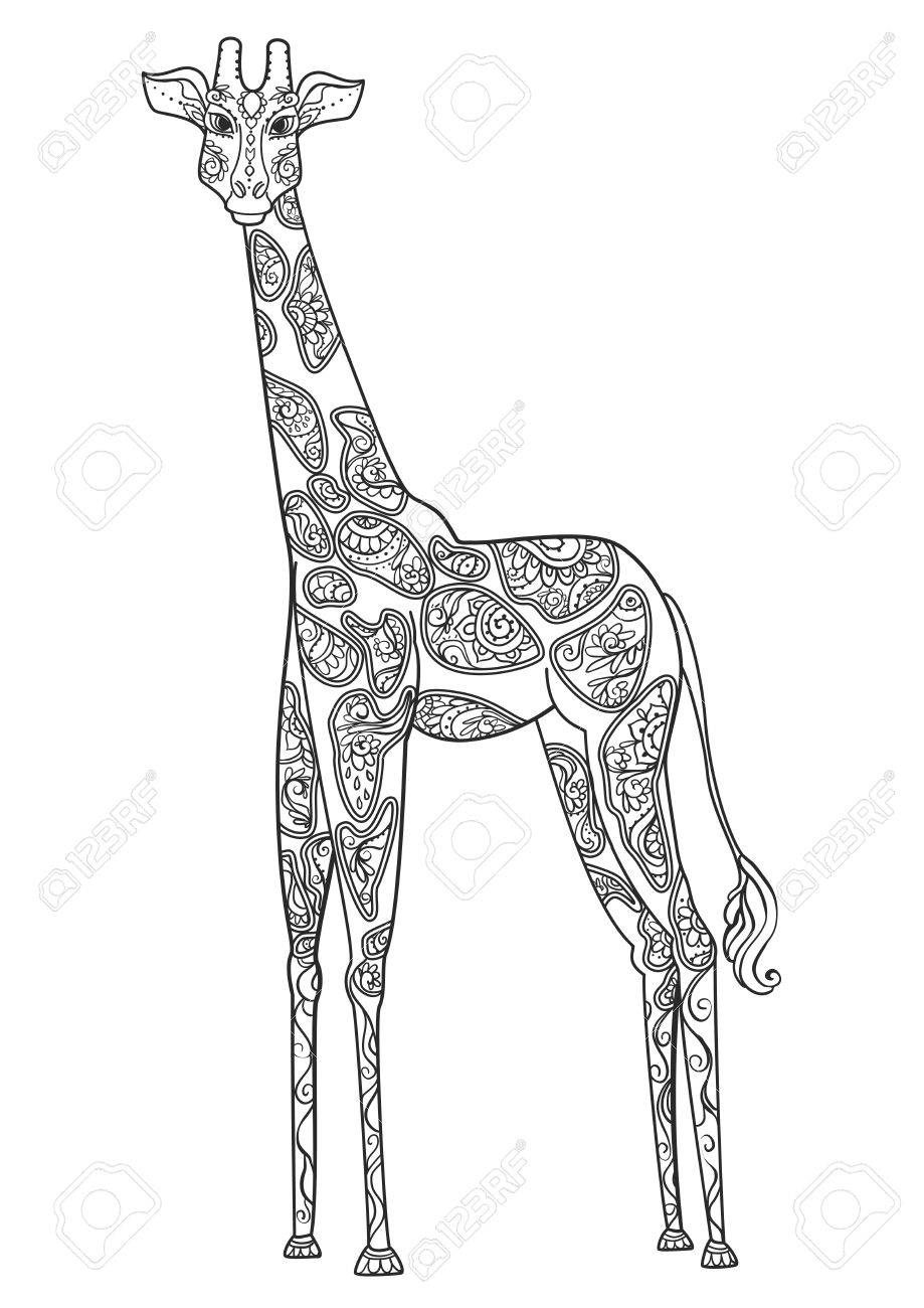 飾りキリン ベクトル デザインの美しいイラストのキリンは 衣料品 ステッカー タトゥー キリンと大人塗り絵を印刷します 手描きの動物イラスト キリン レース装飾のイラスト素材 ベクタ Image