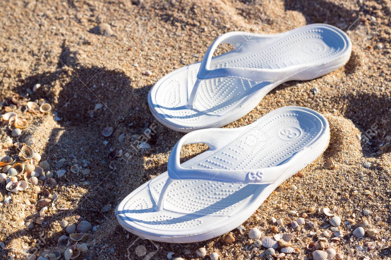 sea slippers