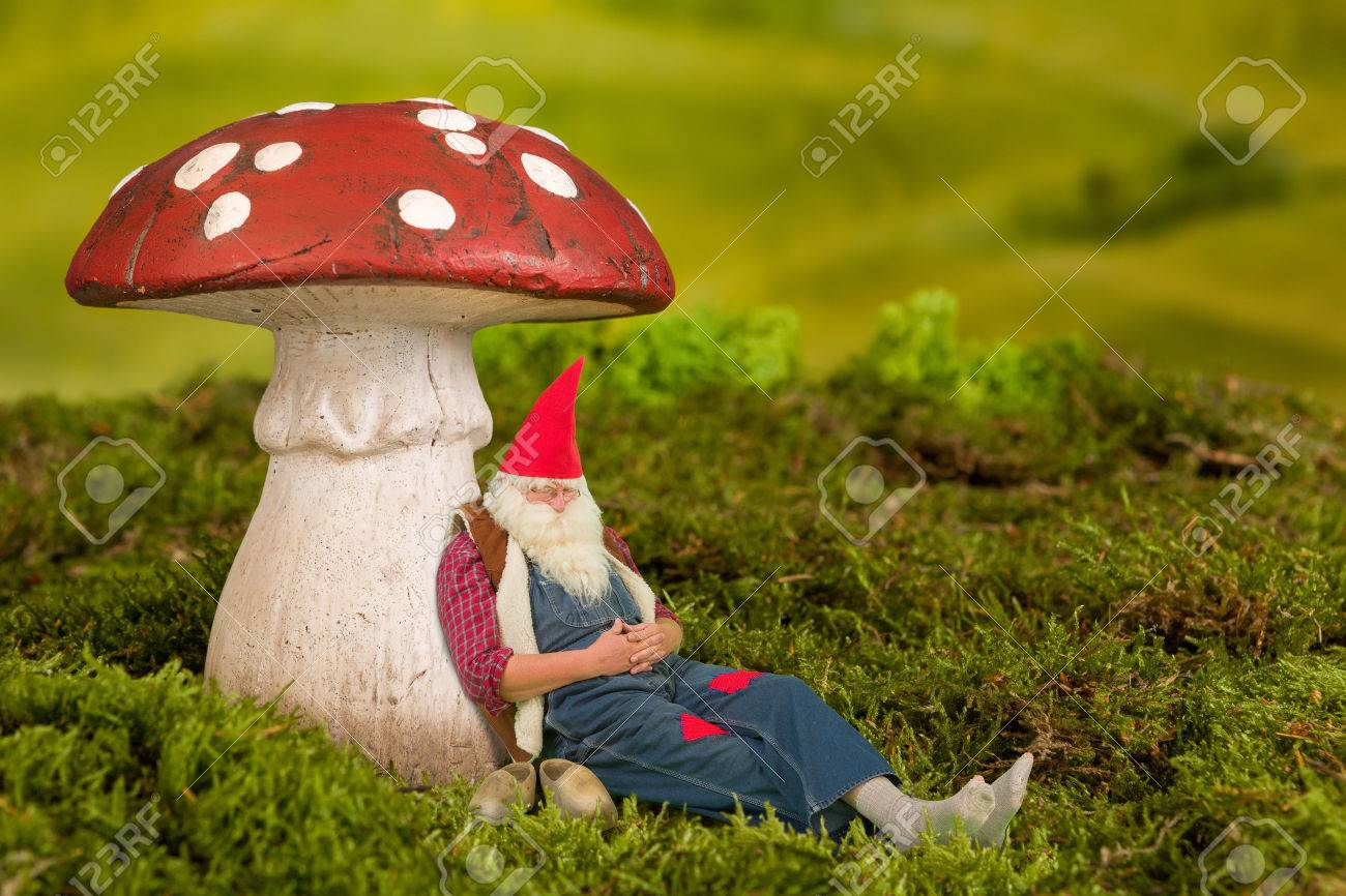 眠いの庭の Gnome おとぎ話毒キノコの下で横になっています の写真素材 画像素材 Image