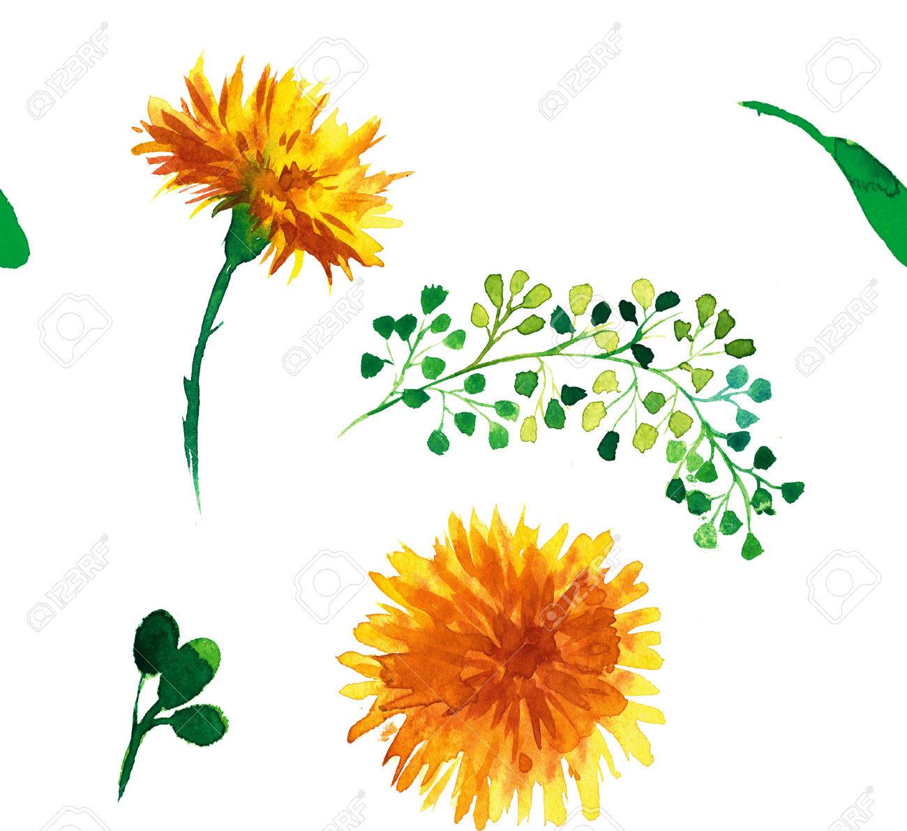 Modelo Inconsutil De La Belleza Natural De Fondo Blanco Con Flores Negro Pelusa De Diente De Leon Sin Patron Floral Con Flores De Primavera O Verano Pintado Con Estilo De Moda Fotos