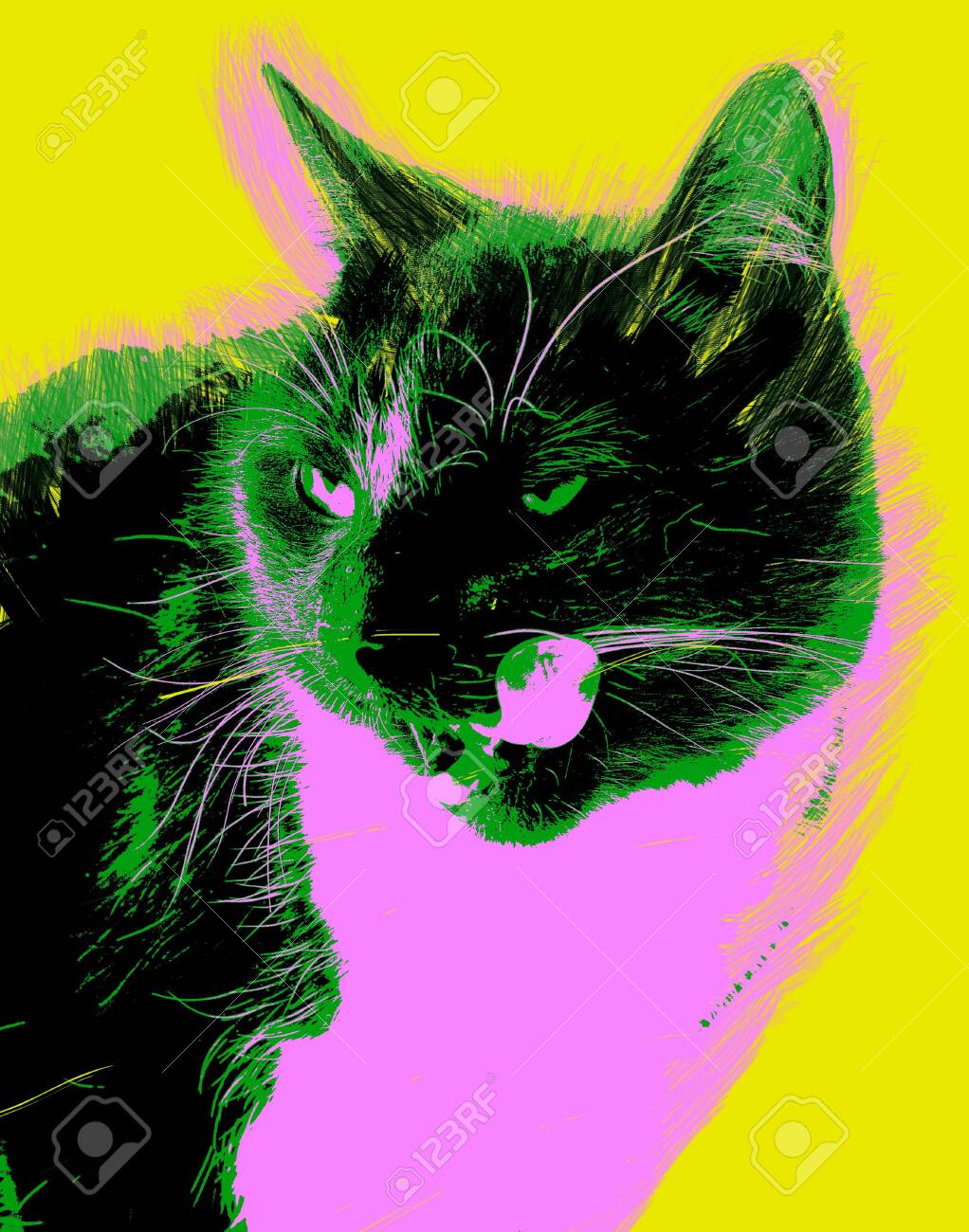 etiam-dictum-ipsum-a-felis