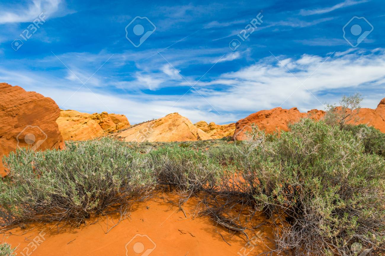 アメリカ西部の砂漠の石 の写真素材 画像素材 Image