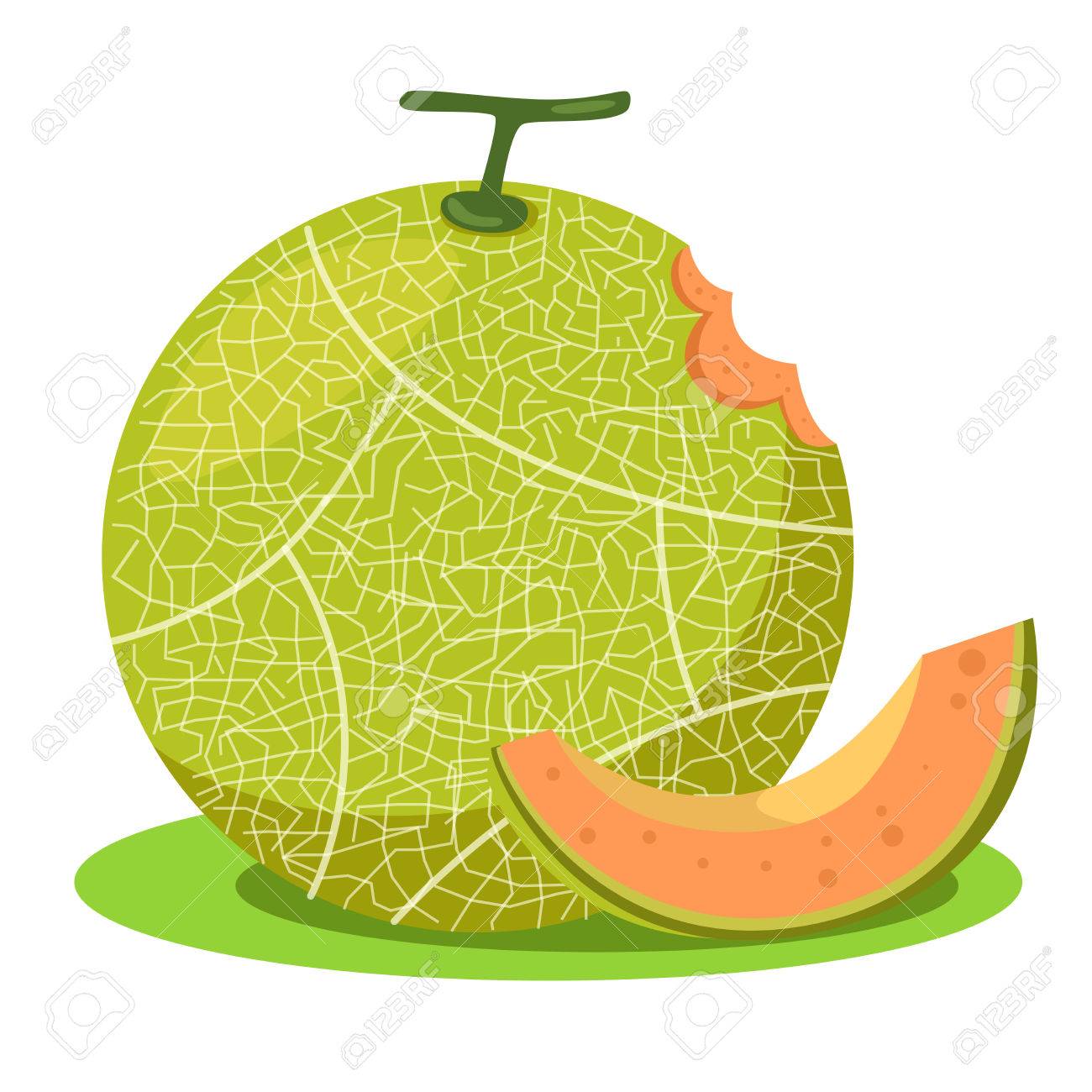 Illustrator Of Melon Orange Royalty Free Cliparts Vectors And Stock Illustration Image