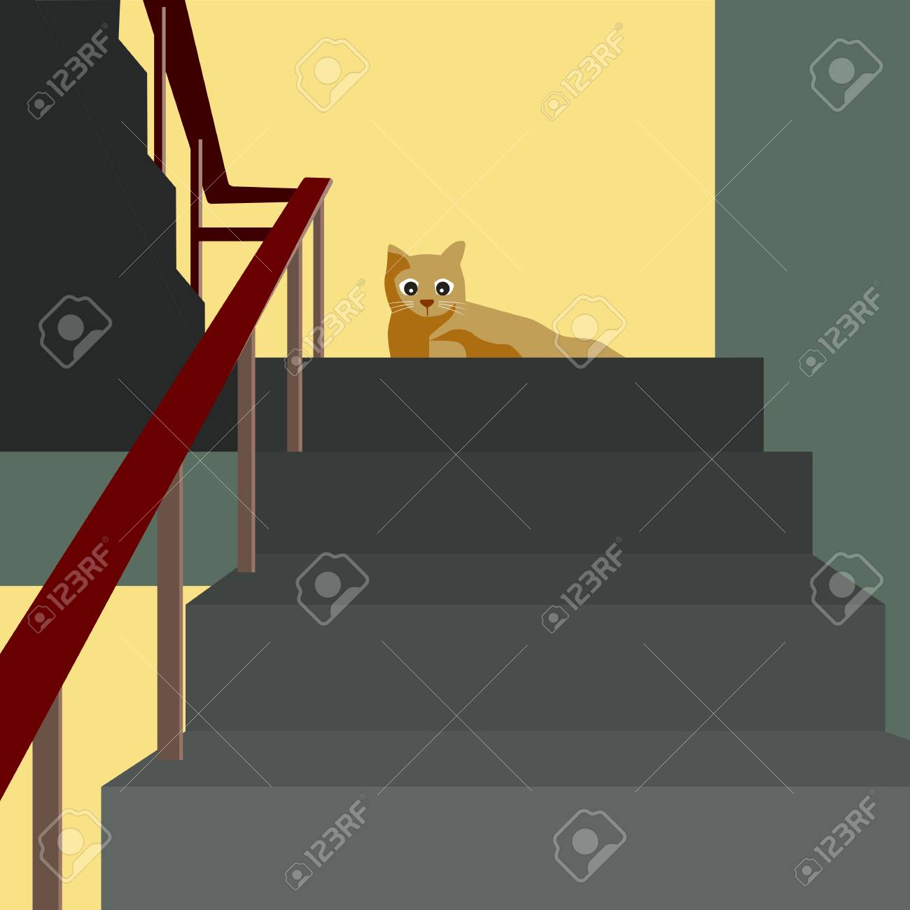 stair cat