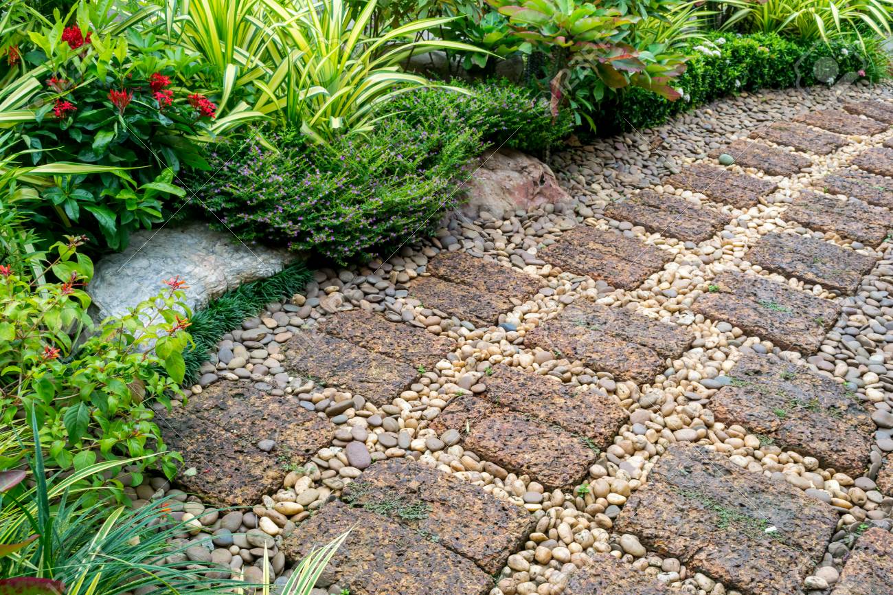 庭に石の通路 の写真素材 画像素材 Image