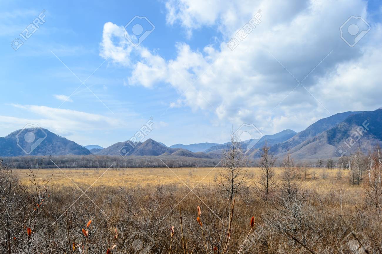 美しい空戦場ヶ原湿原 日本の日光 の写真素材 画像素材 Image