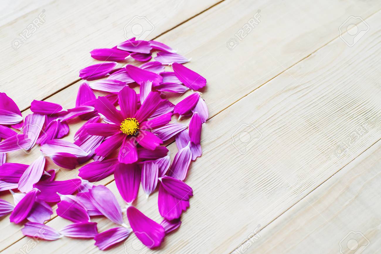 花びらで作られた花のハートの形の上からの眺めとコスモス植物の単一の開口部の花の頭は 木製の背景に横たわっていました の写真素材 画像素材 Image