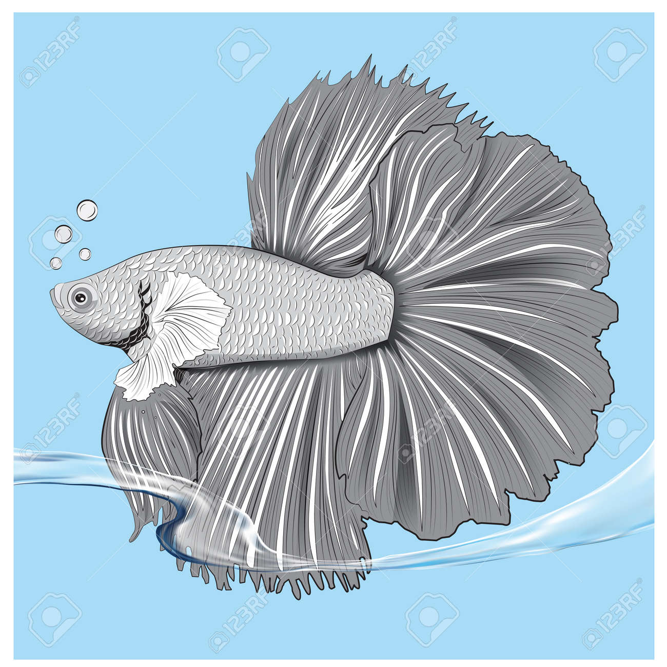 ベタブラックシルエット、美しいベタ魚のベクトルイラスト、ベタ